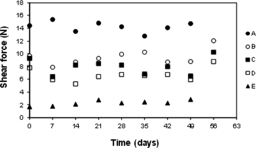 Figure 2. Shear force (N) measured in frankfurters prepared with different surimi's mixtures. (A) 100% MDCM surimi-like material, (B) 70% MDCM surimi-like material and 30% whitemouth croaker meat surimi, (C) 50% MDCM surimi-like material and 50% whitemouth croaker meat surimi, (D) 30% MDCM surimi-like material and 70% whitemouth croaker meat surimi, and (E) 100% whitemouth croaker meat surimi. Data presented are average values of at least 12 determinations. MDCM, mechanically deboned chicken meat. Figura 2. Fuerza de corte (N) se mide en las salchichas preparadas con diferentes mezclas de surimi. (A) 100% surimi de CMDP, (B) 70% surimi de CMDP y 30% surimi de carne de corvina, (C) 50% surimi de CMDP y 50% surimi de carne de corvina, (D) 30% surimi de CMDP y 70% surimi de carne de corvina, y (E) 100% surimi de carne de corvina. Los datos presentados son valores promedio de al menos 12 determinaciones. CMDP, carne mecánicamente deshuesada de pollo.