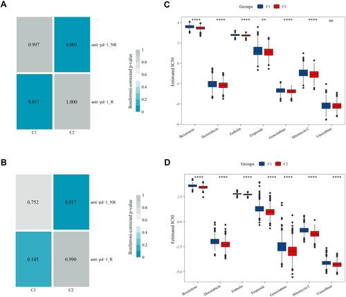 Figure 7 Predicting response of C1 and C2 subtypes to immunotherapy and chemotherapy. (A and B) Submap analysis between the anti-PD-1 treatment group and TCGA-NSCLC dataset, the anti-PD-1 treatment group and GSE cohorts. Anti-PD-1-NR indicates no response to anti-PD-1 and anti-PD-1-R indicates a positive response. P-value was corrected by Bonferroni correction. (C and D) Estimated IC50 of chemotherapeutic drugs including bexarotene, doxorubicin, embelin, etoposide, gemcitabine, mitomycin C, and vinorelbine in the TCGA-NSCLC dataset and GSE cohorts. **P<0.01, ****P<0.0001.