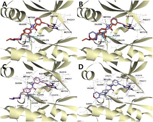 Figure 7. 3D structural overlay of compounds (A) 5 (orange) and 4a (pink), (B) 5 and I (lavender) in the ABLT315I Kinase. Inhibitors are shown in stick model and surrounding key interaction residues were shown in line model. The key interaction mode between 5 and BCR-ABLT315I indicated by a dash line. The binding mode of compounds (C) 4a, and (D) I in the BCR-ABLT315I Kinase. Various interactions are shown in dashes.
