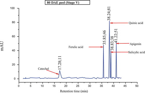 FIGURE 2e HPLC chromatograms of polyphenols in 80 DAE (stage V) matured culinary banana peel.