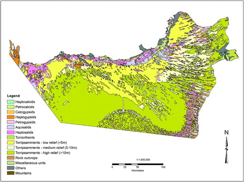 Figure 7. Soil map of Abu Dhabi Emirate (CitationEAD, 2009).