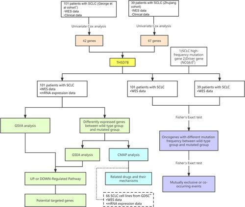 Figure 1 Workflow of the bioinformatic analysis.