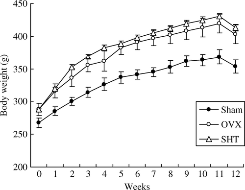 Figure 2.  Change in body weight of rats during SHT administration for 12 weeks. The body weights of OVX and SHT (0.6 g/kg BID) groups were significantly increased for 12 weeks when compared to the sham group (P<0.01).