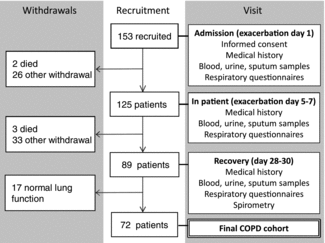 Figure 1.  Consort diagram and study protocol for the COPD exacerbation cohort. Other withdrawal includes inability to complete protocol due to illness, further disease exacerbation, inability to attend visit due to co-morbidity or frailty and withdrawal of consent.