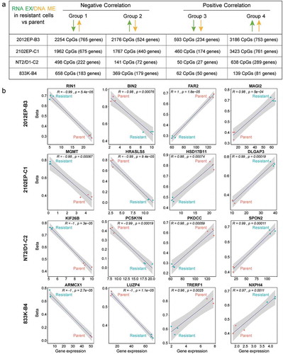 Figure 5. Distinct groupings of differentially methylated CpG sites correlate with distinct patterns of gene expression in cisplatin-resistant TGCT cells. (a) Schematic of groupings of all significantly methylated CpG sites that mapped to all significantly regulated genes in cisplatin-resistant cells compared to parent cells. Also provided are total number of CpGs and genes for each grouping in each cell line. (b) Scatter plot of biological triplicate beta and gene expression values for an example CpG/gene pair for each grouping in each resistant cell line