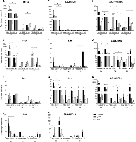 Fig. 5 Cytokine mRNA expression in different tissues of the tree shrew respiratory tract.The mRNA expression levels of TNF-α (a), IFN-β (b), IL-4 (c), IL-6 (d), CXCL8 (e), IL-10 (f), IL-13 (g), CXCL10 (h), CCL5 (i), CXCL9 (j), and CCL2 (k) were determined by quantitative PCR in the nasal turbinate, throat, trachea, and lung tissue of tree shrews (n = 4 per time point) that were infected with H9N2 viruses (Y280-wt or Y280-PB2-E627K). The expression of the target genes was standardized to the mRNA expression of the GAPDH gene and the expression in mock-infected tree shrews. *p < 0.05