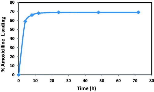Figure 12. Effect of contact time on amoxicillin loading at initial concentration of amoxicillin 20 mg/L and dosage of NH2-SBA-15 = 60 mg.