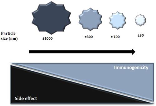 Figure 7 Effect of particle size on immunogenicity and side-effects. Particles smaller than 100 nm in diameter enter the lymphatic system effectively compared to particles larger than 300 nm in diameter. Particles smaller than 30 nm in diameter induce a stronger CD8 T cell response, compared to particles larger than 100 nm that promote a stronger CD4 T cell response. The strength of the T cell response as well as the side-effects correlate inversely with particle size.
