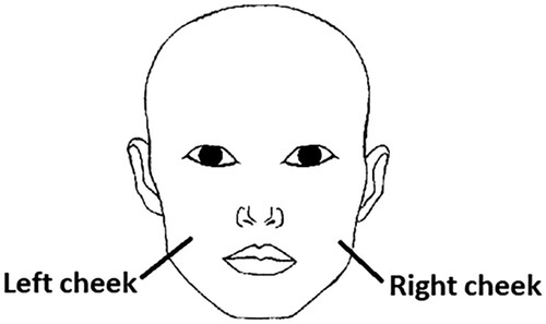 Figure 1. Image used in kissing question.Note: The figure indicates the labels shown to participants to ask them which cheek of an emotionally close person they would kiss, with left-right labels reflecting the viewer’s perspective.