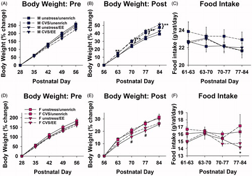 Figure 2. Adolescent enrichment loss does not increase body weight gain. (A) No differences in body weight change due to enrichment or stress during adolescent EE/CVS in males. (B) Adolescent CVS increased male body weight gain in adulthood (**applies to both EE and unenriched CVS male groups: p < 0.05 vs. unstressed male group, Sidak). (C) No differences in male food intake after EE/CVS were removed. (D) No differences in body weight change due to enrichment or stress during adolescent EE/CVS in females. (E) Adolescent EE decreased female weight gain in adulthood (#p < 0.05 vs. unenriched/unstressed females, Sidak). (F) Females previously exposed to enrichment and CVS had decreased food intake on the fourth week after these stimuli were removed (*p < 0.05 vs. unenriched CVS females, Sidak) (n = 10/group; four-way repeated measures ANOVAs). Data are mean ± SEM. (CVS: chronic variable stress; EE: environmental enrichment; Pre: prior to cessation of EE/CVS; Post: after cessation of EE/CVS).