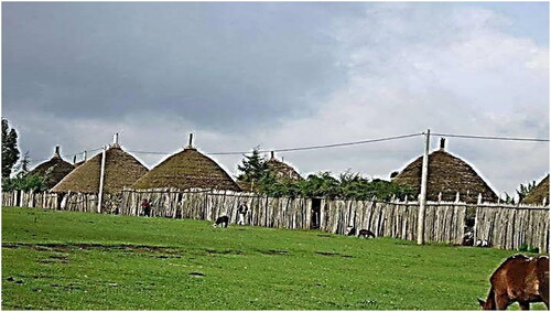 Figure 5. Guye a traditional dwelling units of the Gurage in Denber village (Photo taken by the corresponding author, October 2020).