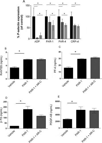 Figure 2. Alpha-granule release after stimulation in the presence of P2Y12 antagonists. Platelets were stimulated with increasing concentrations of ADP, PAR-1, PAR-4 agonist, or CRP-xl in presence of cangrelor (AR-C) (dark gray), apyrase (light gray) or buffer only (black), and P-selectin expression was analyzed with flow cytometry as a measure of granule secretion. (A) Area under the curve of P-selectin expression in the presence of cangrelor or apyrase is expressed as a percentage of mock-treated platelets. Mean and standard error of the mean are shown. Measurements were performed in five healthy donors. (B) Platelets were activated with PAR-1 agonist with or without cangrelor and concentrations of RANTES, (C) platelet factor 4 (PF-4), (D) β-thromboglobulin (β-TG), and (E) PDGF-A/B were determined with ELISA. Data are expressed as mean ± SEM (*p < 0.05).