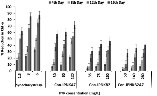 Figure 2. Percent reduction in Chl-a (chlorophyll-a) content with different concentrations of PYR Synechocystis sp. and Con (consortium) JP-NK.