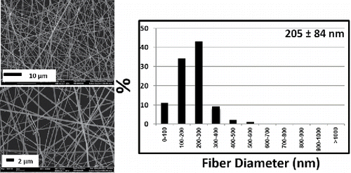 Figure 8. SEM images and fiber diameter distributions of the optimum condition (22G, 4000 rpm, 10 wt%), respectively.