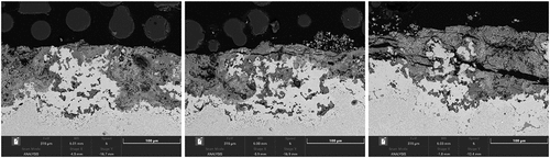 Figure 8. BSE images of alloy C1023 covered with sodium chloride salt deposits exposed to air + 300 vppm SOx gaseous atmosphere gas for 160 h.