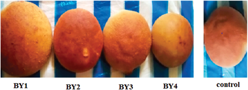 Figure 4. Breads made with different yeast starters. BY1, BY2, BY3, BY4, control breads made using yeast isolates 4A, 14D, 54A, 14D54A, and commercial bakery yeast, respectively.