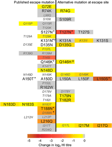 Fig. 1 Impact of mutation at published mAb escape sites on haemagglutination inhibition titres performed with polyclonal chicken antisera.Change in log2 HI titre associated with stated amino-acid replacements, based on eight individual anti-UDL1/08 antisera with a minimum of five technical repeats, are indicated by cell colouring according to the colour legend with non-significant differences shown in grey and untested substitutions in white. Published mAb escape mutations are shown to the left of centre, whereas alternative substitutions are shown to the right. Mutations that introduce absent or almost absent amino-acid states ( < 1% of sequenced natural isolates) are labelled in smaller, italicised, grey font. * addition of potential glycosylation site. † would not rescue. ‡ Q146H rescued with additional substitution T186K