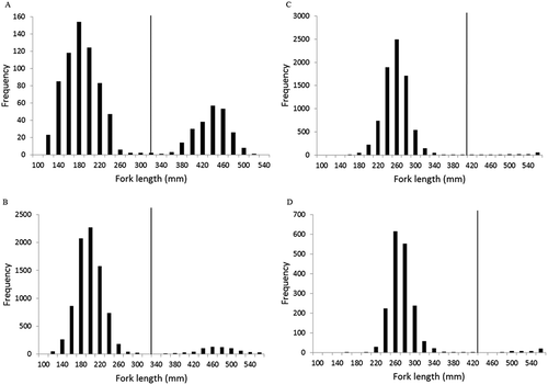 Figure 2. Observed fork length frequencies for Coho Salmon sampled in the Strait of Georgia during (A) June, (B) July, (C) September, and (D) October. Lengths of 320, 330, 400, and 420 mm, respectively, in the four months (vertical lines) were deemed to distinguish individuals in their first year of ocean rearing from those in their second year.