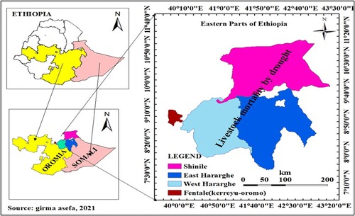 Figure 8. Drought has caused animal mortality in Ethiopia's eastern region