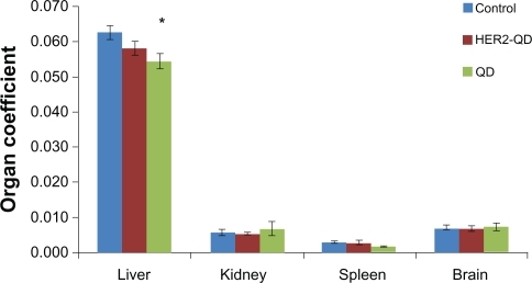 Figure 4 Coefficient of organs (liver, kidney, spleen, and brain) for Wistar rats treated with quantum dots (QDs), anti-HER2ab-QDs and PBS. Coefficient of organs is the ratio of weight of the organs (g) to animal weight (g). No significant difference found at α = 0.05. Statistical analysis was performed with a 2-sample t-test, unknown and unequal variances, comparing each sample group to the related control group.Note: *denotes statistically significant results at α = 0.05.