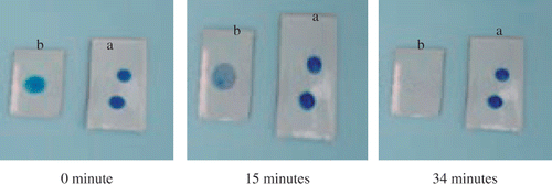 Figure 8. (Colour online) Decolouration of MB on (a) normal ceramic tile substrate and (b) N40 coated ceramic tile.