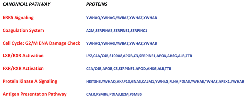 Figure 3. Muse cells canonical pathways in overlapping networks. The figure shows the canonical pathways of Muse cells, which belongs to overlapping networks. Proteins of Muse cells secretome for each canonical pathway are depicted.