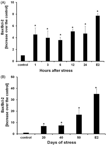 Figure 7. Bax/Bcl-2 relative ratios of acute stress (A) and chronic stress (B). Bax content was significantly increased. Data is presented as Bax and Bcl-2 relative expression. Each data point represents the mean ± SEM; n = 5. *p < 0.05 vs. control groups.