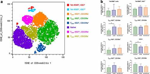 Figure 5. Frequency and phenotype of CD8 + T-cell subsets in NHPs. (a) Representative tSNE map of total CD8+ cells in NHP (untreated group), using CD45, CD3, CD4, CD8, CD20, CD159a, CD69, CD152, CD28, CD95, CD25, CD14, Ki67, and FoxP3 as markers. (b) Box plots showing the frequency of CD8 + T cells in each significantly enriched cluster. *p < .05