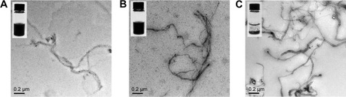 Figure 3 Transmission electron microscopic images of MWCNTs-TC, MWCNTs-CS, and p-MWCNTs after storage at 4°C for 2 months.Notes: (A) MWCNTs-TC, (B) MWCNTs-CS, and (C) p-MWCNTs. The insets show a photo of MWCNTs-TC, MWCNTs-CS, and p-MWCNTs solution; respectively.Abbreviations: MWCNTs-TC, transactivator of transcription–chitosan-conjugated multiwalled carbon nanotubes; MWCNTs-CS, chitosan-conjugated multiwalled carbon nanotubes; p-MWCNTs, pristine multiwalled carbon nanotubes.