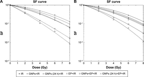 Figure 4 (A) Radiation survival curves of cancerous HT-29 cells treated with six different protocols based on clonogenic assay. (B) Radiation survival curves of CHO cells treated with six different protocols based on clonogenic assay.Abbreviations: IR, ionizing radiation; GNPs, gold nanoparticles; EP, electroporation; SF, survival fraction.