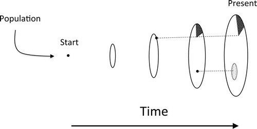 Fig. 1. Possible patterns of growth of individuals of A. gallica: Model 1. Under Model 1 a unique individual is established through mating and then grows vegetatively to occupy a space, often including many adjacent tree root systems. The dots represent mutations that leave behind mutant sectors. Model 2 is an extension of Model 1; after an individual colonizes a space, it remains in place, but localized patches may die off or serve as inoculum for recolonization of newly available substrates. Under Model 3, any given genotypic sector diffuses outward and becomes spatially mixed with other genotypes of the same individual, thus degrading the spatial signatures of Models 1 and 2. None of the three models is mutually exclusive of any of the other models.