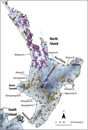 Figure 3. Distribution maps for G. basalis (pink) and G. dinae (orange). Dots represent known localities from museum records; squares indicate localities of lots examined for this study. The locality of the holotype of G. dinae (Mouth of tributary of Moawhango River) is indicated with an orange star. The holotype locality of G. basalis is the Waihou River, Northland, New Zealand, but the precise coordinates are unknown.