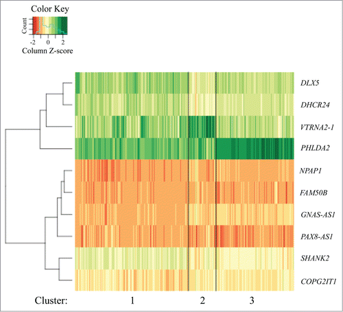 Figure 1. Heatmap of expression (total n = 615) for the 10 genes used to assign membership to clusters 1 (n = 319), 2 (n = 77), and 3 (n = 219).