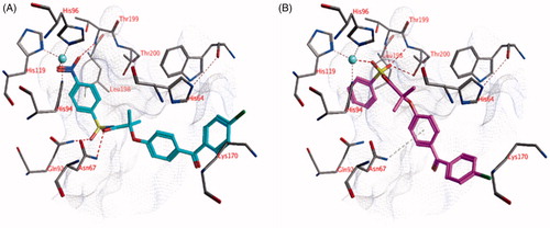 Figure 4. The docked pose of (A) compound 18 (purple) and (B) alternative docked pose of compound 18 (purple) in the active site of hCA IX (pdb: 3iai). Hydrogen bonds and interactions to the active site zinc ion are indicated in red dashed lines. Aromatic system – H bonds are indicated as yellow dashed lines.