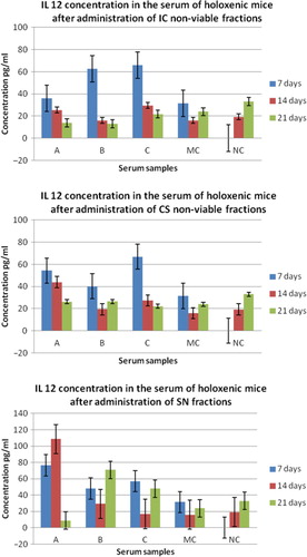 Fig. 1 Graphic representation of IL-12 concentration in the serum of holoxenic mice, collected after: I – 7 days from the first oral administration of NVCs; II – 14 days from the first oral administration of NVCs; III – 21 days from the first oral administration of NVCs. IC, integral culture; CS, cellular suspension; SN, supernatant; A, serum collected from holoxenic mice after oral administration of NVC; B, serum collected from holoxenic mice after oral administration of NVC stimulated with E. coli O28C; C, serum collected from holoxenic mice after oral administration of NVC stimulated with B. cereus; MC, media control – serum collected from holoxenic mice after oral administration of MRS; NC, negative control – serum collected from holoxenic mice control.