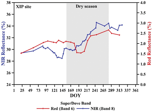 Figure 6. Seasonal changes in reflectance of the red and near-infrared (NIR) bands of the SuperDove for data acquired in 2022 over the Xingu Indigenous Park (XIP). The dry season (June to September) is indicated for reference.