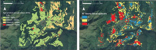 Figure 2. Illustrative maps of ES and biodiversity indicators for the Baldo study area: P1 – overall market value of foodstuff (left) and B1 – number of fauna focal species (right).