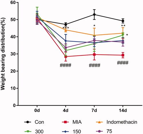 Figure 3. Effects of MPE on changes in the hind paw weight-bearing distribution in MIA- induced rats. The weight-bearing distribution ratio was measured for 14 days using an incapacitance tester and compared to that of the MIA-induced OA group. Values are expressed as means ± SEM (n = 7). ####p < 0.0001 vs. saline; ∗p < 0.05, ∗∗p < 0.01, and ∗∗∗p < 0.001 vs. MIA-treated rats.