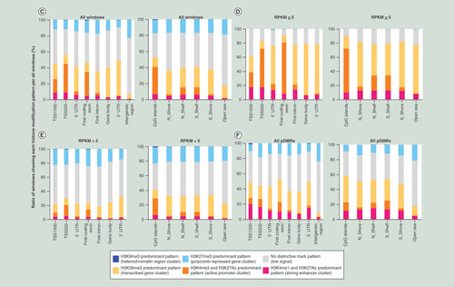 Figure 4.  Histone modification status based on the mean values for human normal purified hepatocytes (HPC6, HPC20, HPC25, HPC27, HPC28 and HPC35). (A) Representative wiggle tracks of genes encoding transcription factors that are highly expressed in hepatocytes and reportedly important for hepatocyte function, such as HNF1 and HNF4, in HPC6 and HPC27 samples. Panels of the HNF1 and HNF4 genes in four other samples and for genes encoding organ-specific transcription factors that are not expressed in hepatocytes, such as PAX8 and CDX2, in the six purified hepatocyte samples are shown in Supplementary Figure 10 (page 319). (B) Heatmap of ChIP-seq data in HPC6, HPC20, HPC25, HPC27, HPC28 and HPC35 generated by the ChromeHMM pipeline [Citation27]. The ratios (mean of all six samples) for all autosomal windows (C), windows annotated to genes showing five or more RPKMs (D), windows annotated to genes showing RPKM values of less than 5 (E), and pDMRs (F) are shown.ChIP-seq: Chromatin immunoprecipitation–sequencing; pDMR: Personal differentially methylated region; RPKM: Read per kilobase pair per million read.