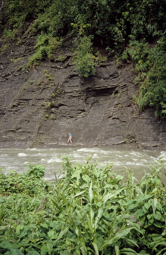 Figure 2. May 1990, the Jamaican spring rainy season. The figure on the other side of this tropical river in spate is Ron, who has just swum across to get a good look at the soles of the sandstone beds. When he swam back, he was quite matter-of-fact in saying there was little of interest. Neither S.K.D. nor Hal Dixon offered to swim with Ron. Image by S.K.D.