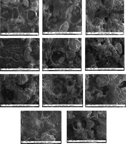 Figure 3. SEM images of the samples A: Control; B: 0.5% κCGN; C: 1% κCGN; D: 0.5% λCGN, E: 1% λCGN; F: 0.5% GG; G: 1% GG; H: 0.5% XTG; I: 1% XTG; J: 0.5% CHI; and K: 1% CHI containing samples.