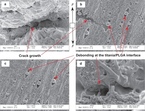 Figure 9 Microscopic fracture appearances of PTCa (agglomerated nano-titania in PLGA composites) after tensile tests. The bottom surfaces of the PTCa near the fracture cross-sections. Original magnifications are 10 kX for (a,b,c) and 50 kX for (d). Magnification bars are 2 μm for (a), 1 μm for (b,c) and 200 nm for (d). F shows the direction of the load.