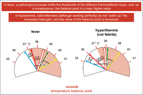 Figure 7. Fever and (not febrile) hyperthermia in a non-unified model of thermoregulation.