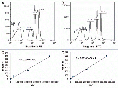 Figure 3 The antibody binding capacity values correlate with fluorescence intensity values for specific monoclonal antibodies. (A and B) Histograms of the Quantum Simply Cellular (QSC) flow cytometry calibration microbeads stained with (A) PE-conjugated E-cadherin antibodies and (B) FITC-conjugated integrin-β1 antibodies. (C and D) The linear relationship of the measured mean fluorescence intensity (FI) values for a range of antibody binding capacities (ABC) on QSC flow cytometry calibration microbeads were obtained for QSC microbeads stained with (C) PE -conjugated E-cadherin antibodies and (D) FITC-conjugated integrin-β1 antibodies.