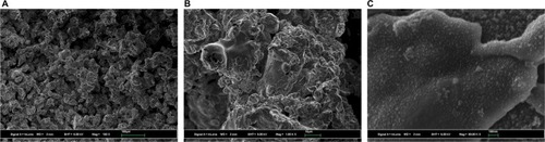 Figure 2 Macro-, micro-, and nano-structure of Ti-PEEK.