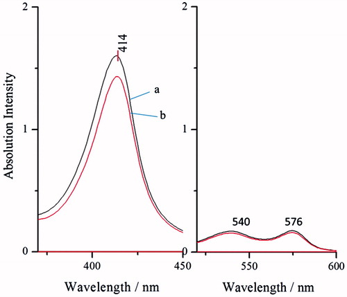 Figure 5. UV–vis wavelength scanning of BAEGF-Hb (line a) and Hb (line b).