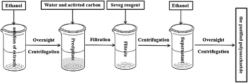 Figure 1. Diagram of extraction and preparation of the CMP.