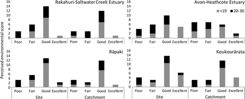 Figure 3. Perceived environmental score grouped by less experienced (<19 years, n = 45–50) and experienced participants (20–30 years, n = 34–38) at each site and catchment.