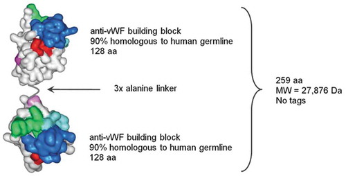 Figure 1. Schematic structure of caplacizumab. aa: amino acids; Da: Dalton; MW: molecular weight; vWF: von Willebrand factor.