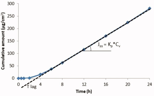 Figure 5. Theoretical curve showing the accumulation of a substance in the receptor compartment per cm2 of skin over time (permeation profile for an infinite dose regimen).